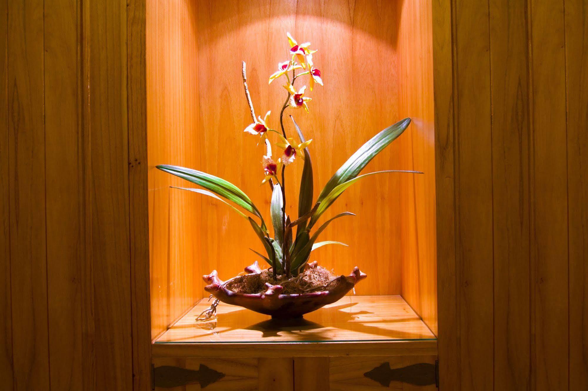 Hotel Las Margaritas Asunción Eksteriør billede